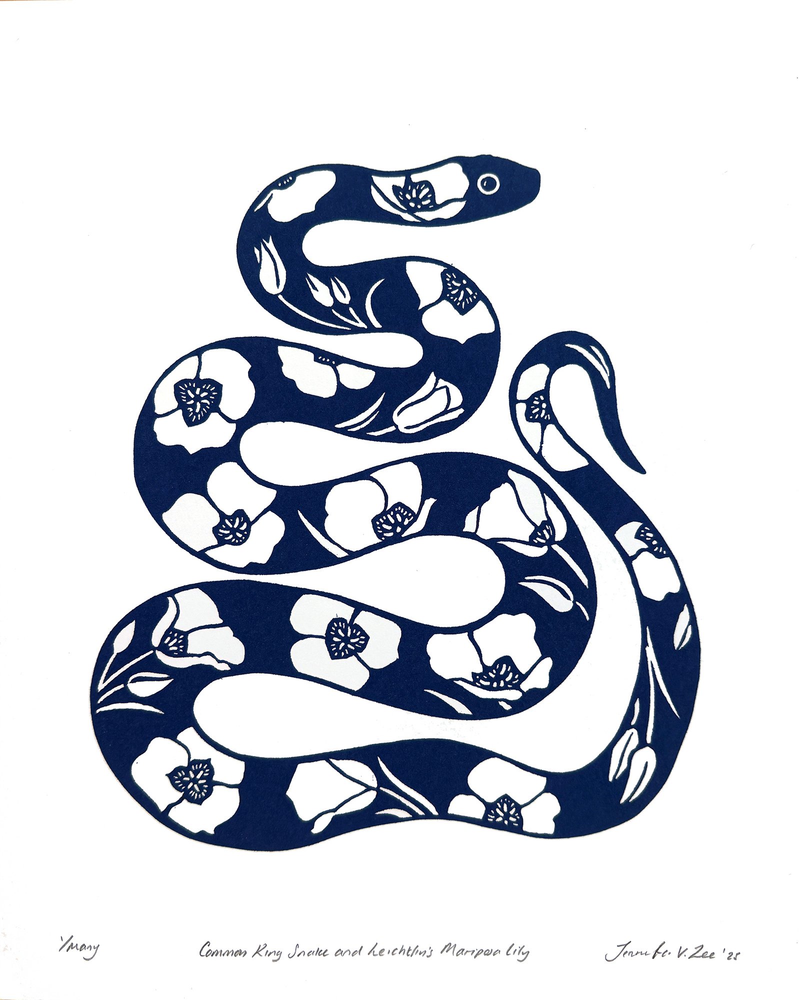King Snake + Mariposa.jpg