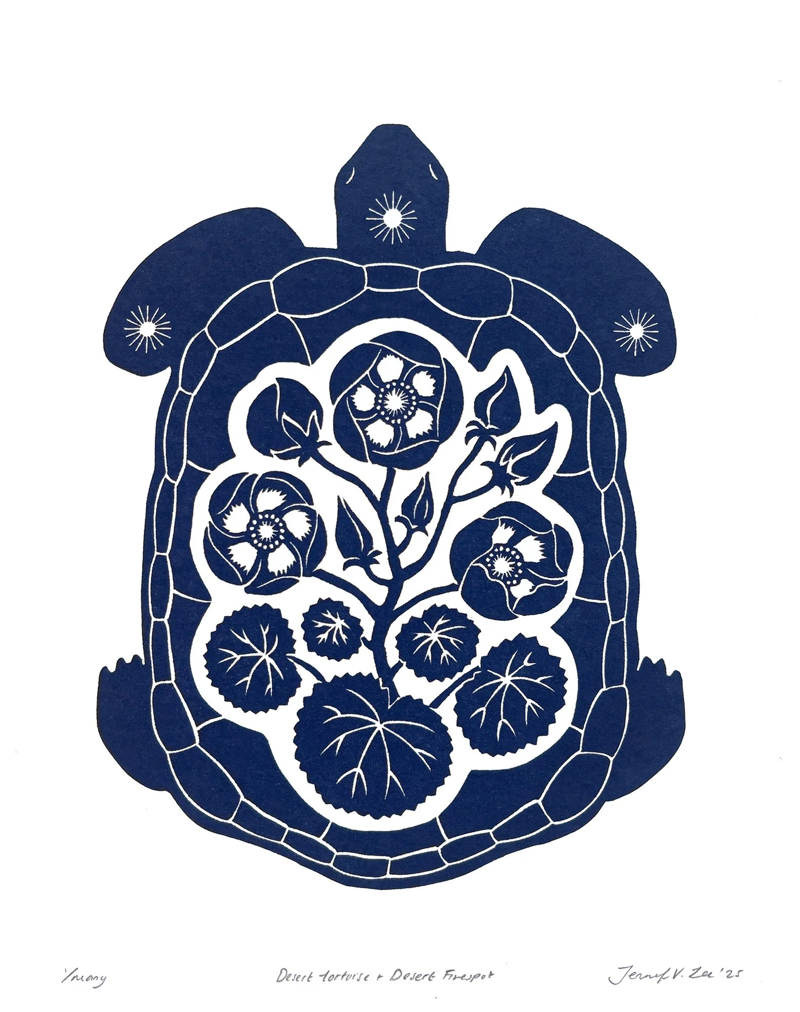 Tortoise + Fivespot.jpg