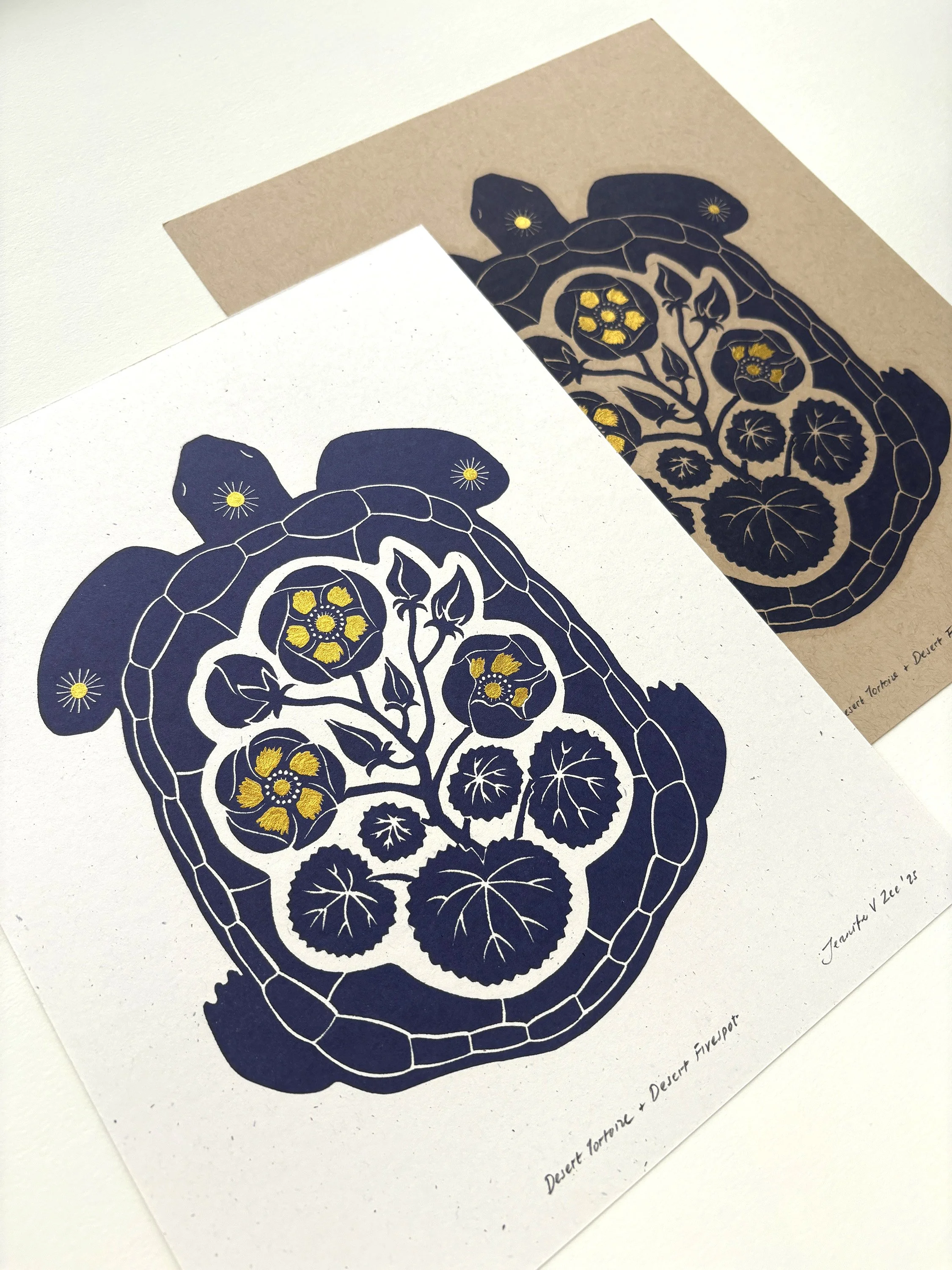 Tortoise Five Spot Angle 1.jpg