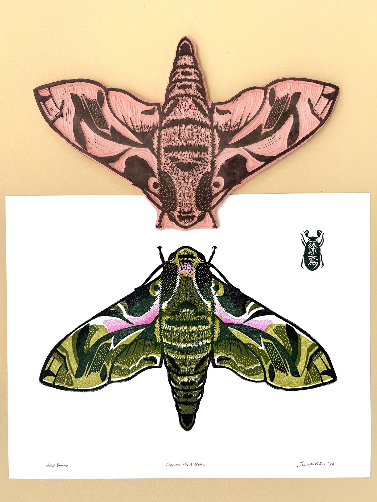 Oleander Moth Flay Lay.jpg