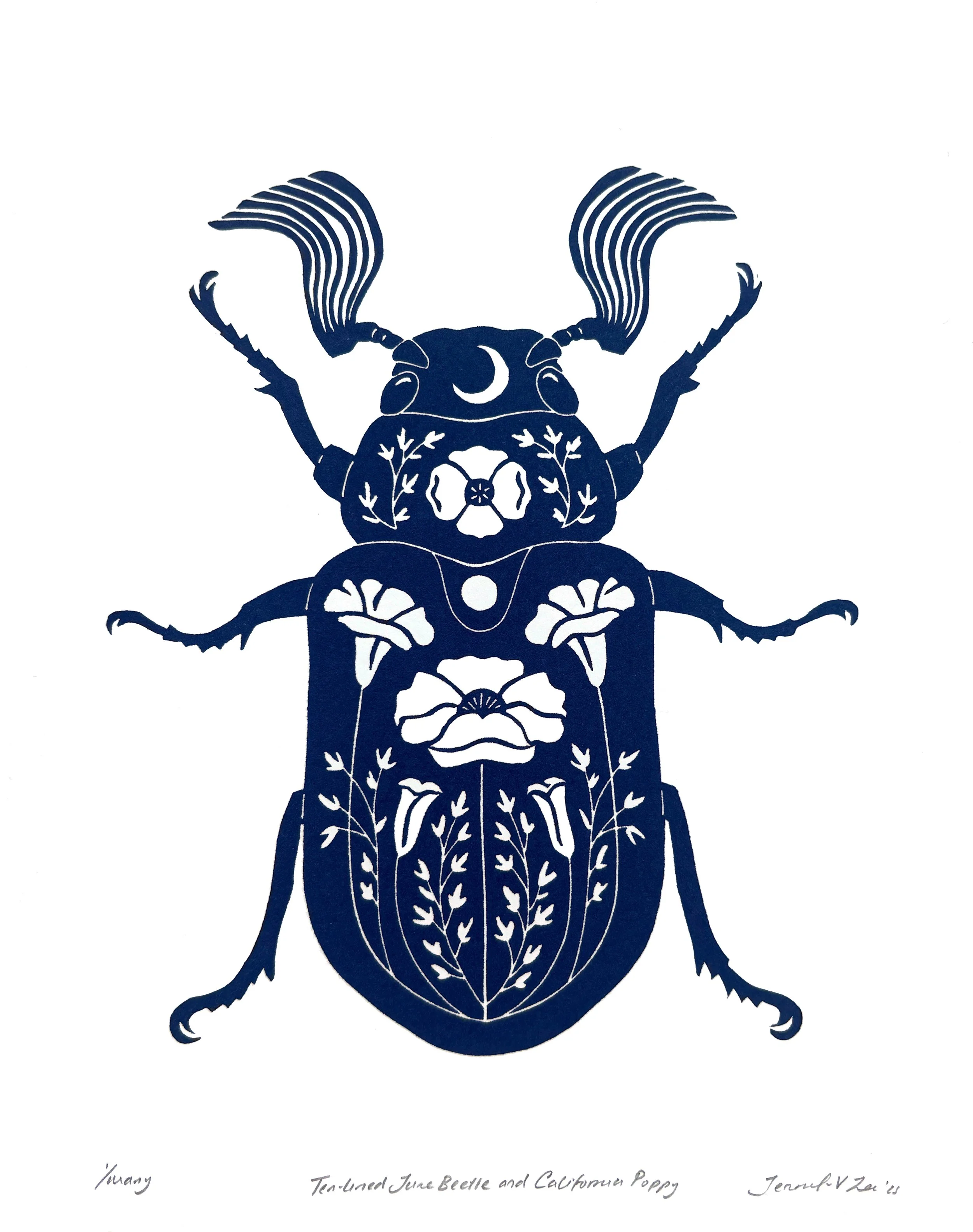 June Beetle + Poppy.jpg