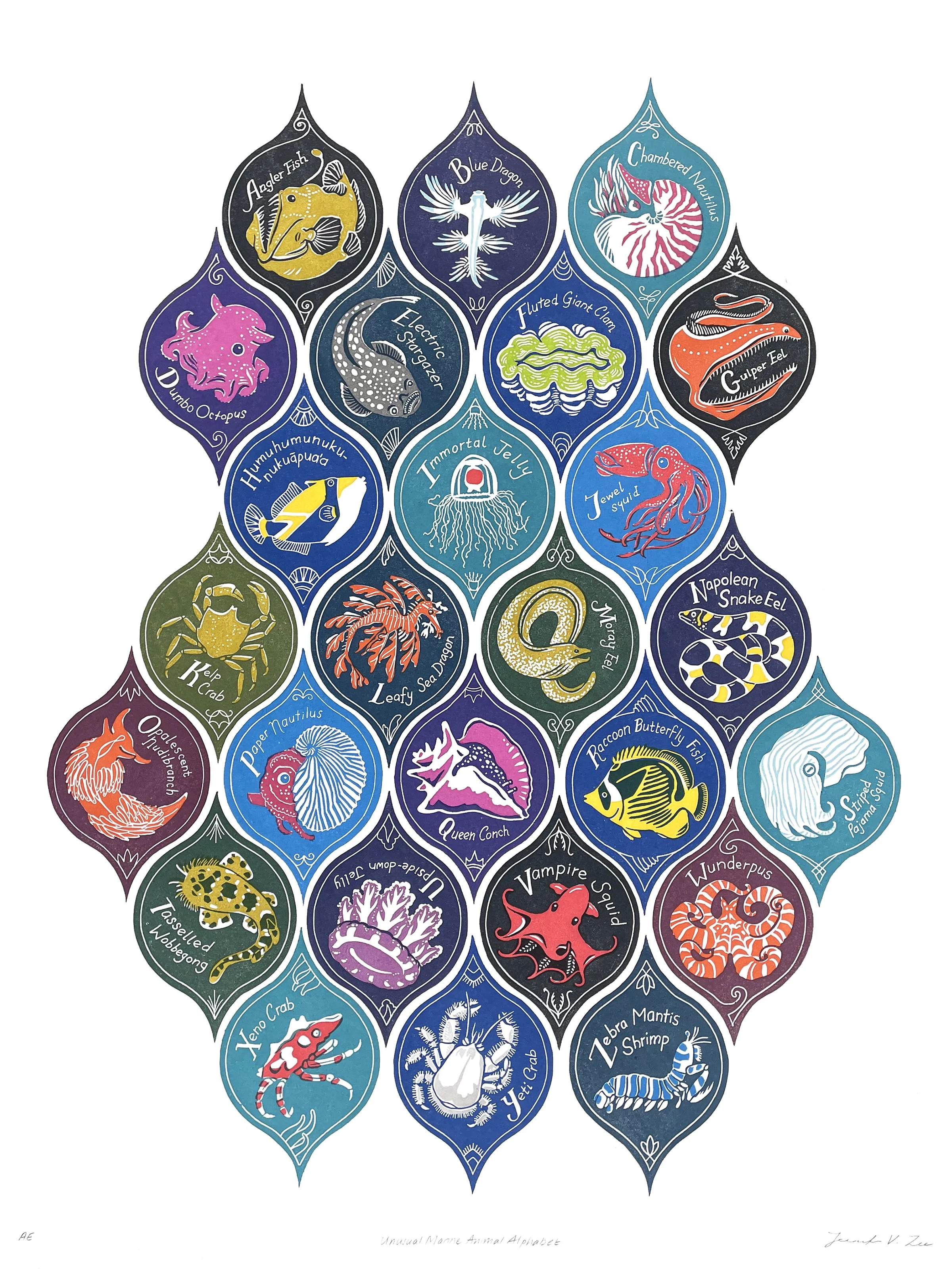 Jennifer Zee - 6 Unusual Marine Animal Alphabet.jpeg
