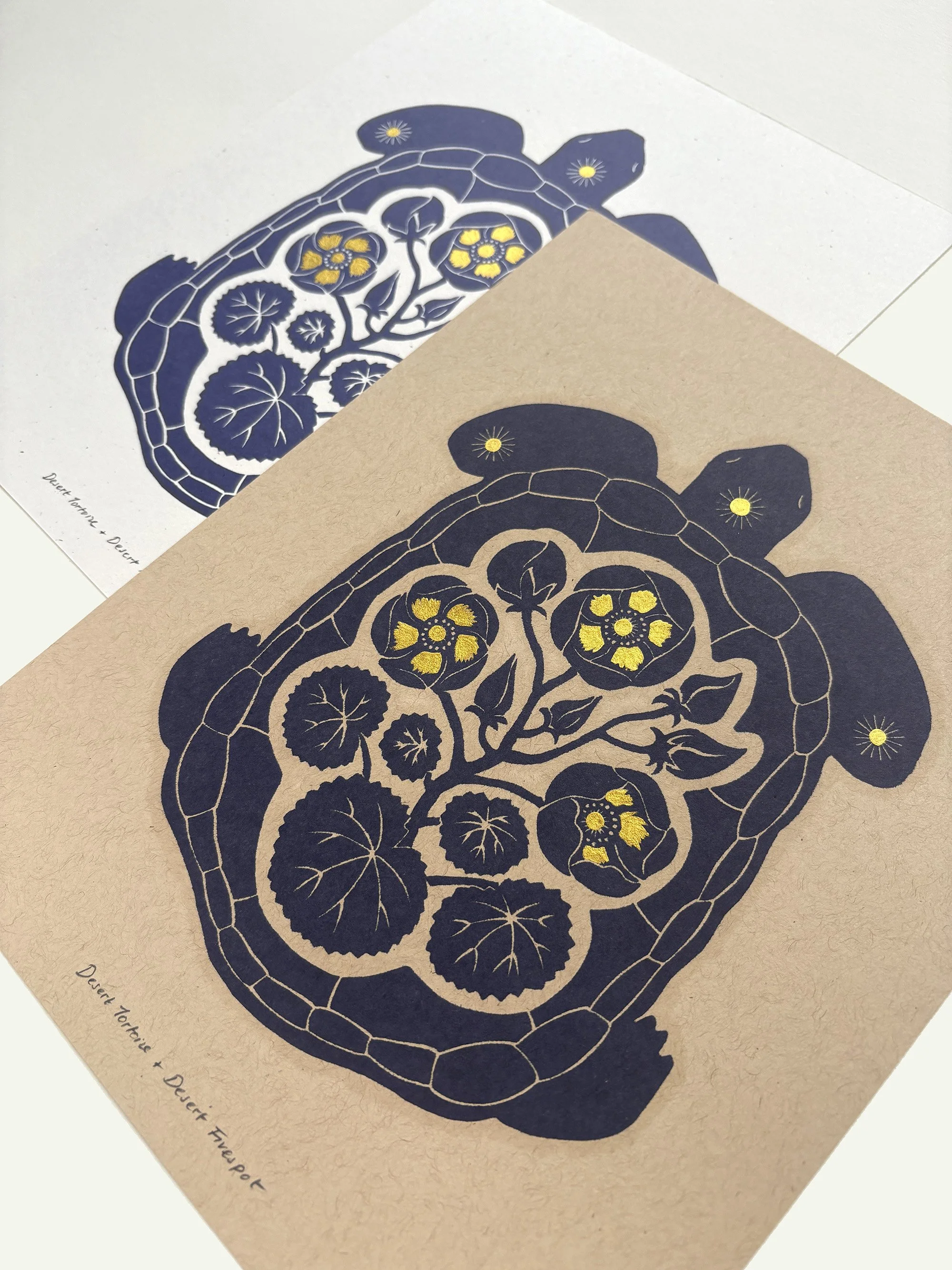 Tortoise Five Spot Angle 2.jpg