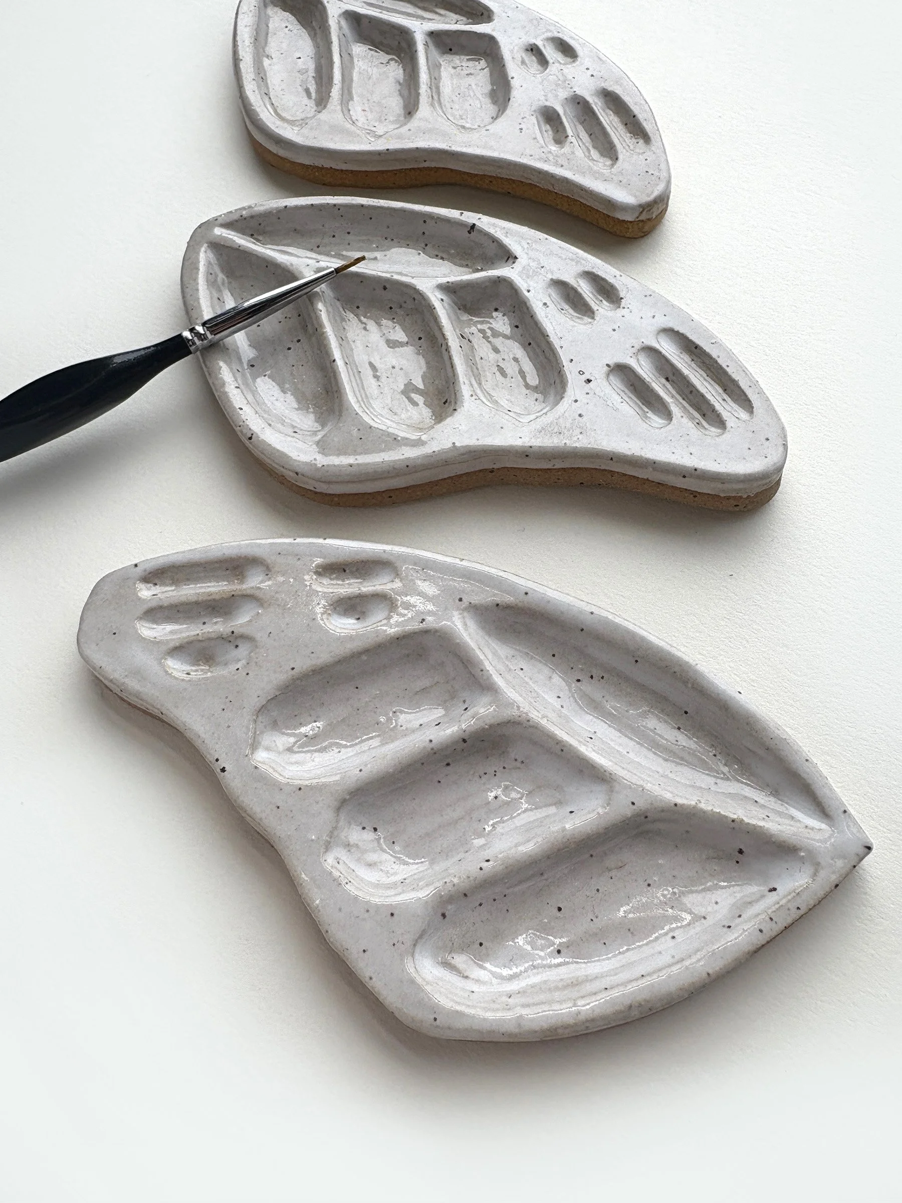 Butterfly wing palette angle.jpg