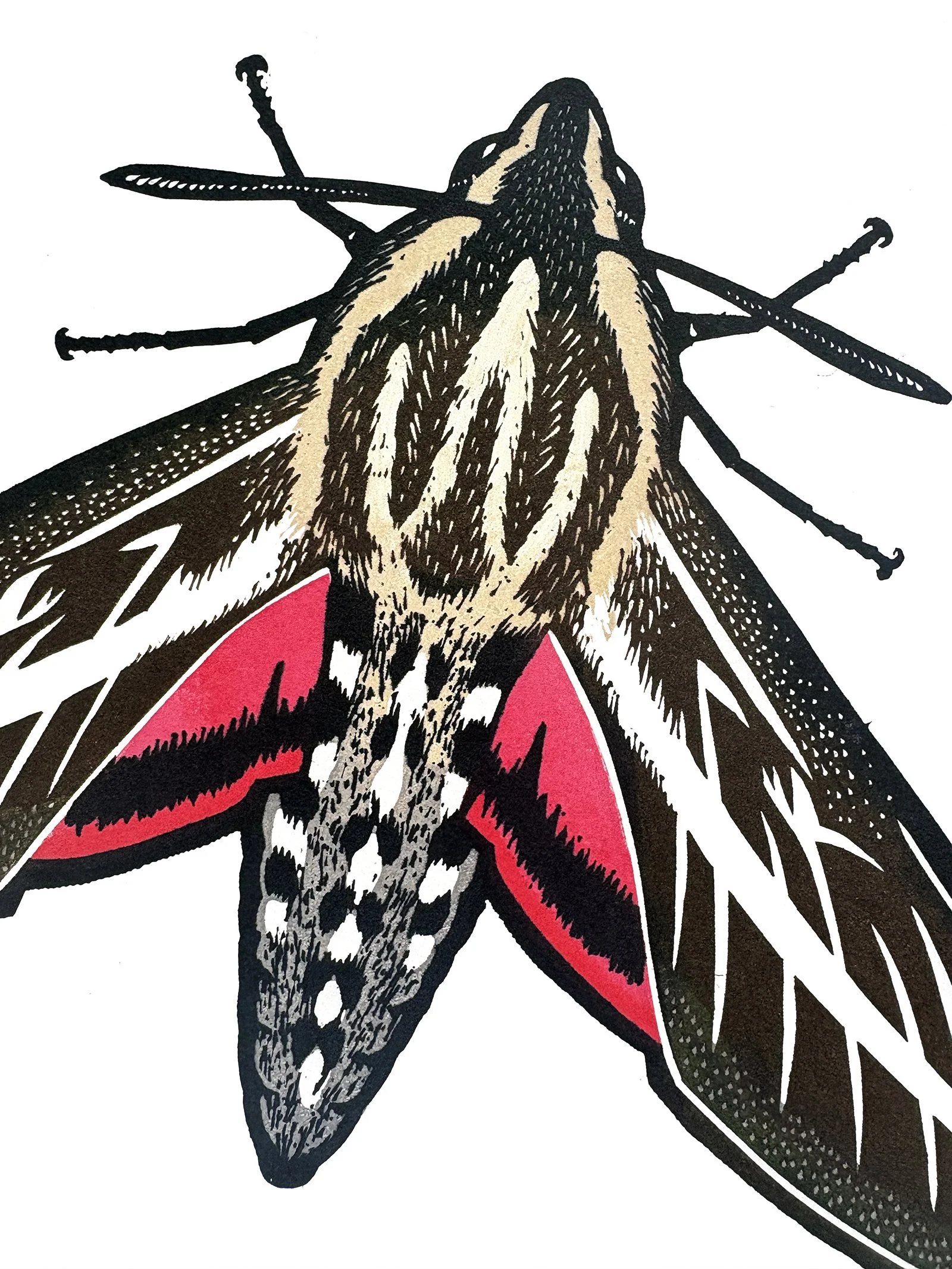 White Lined Detail 2.jpg