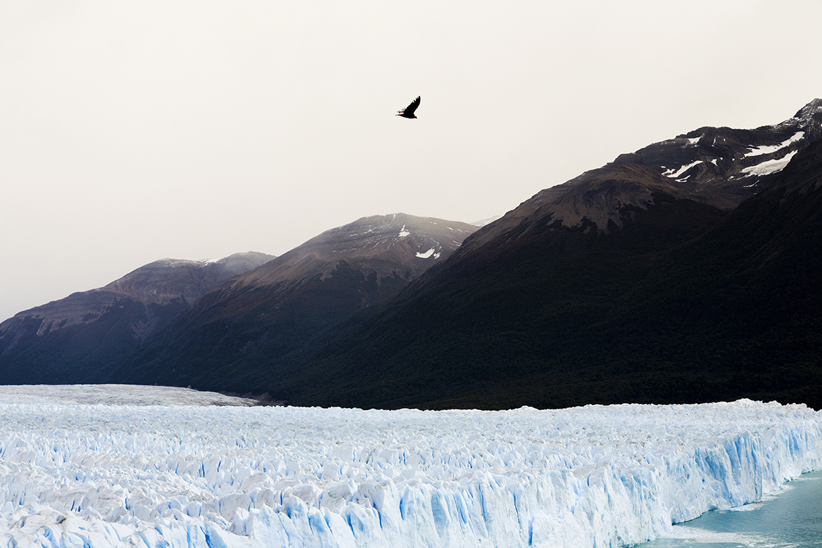 Perito Moreno7Web.jpg