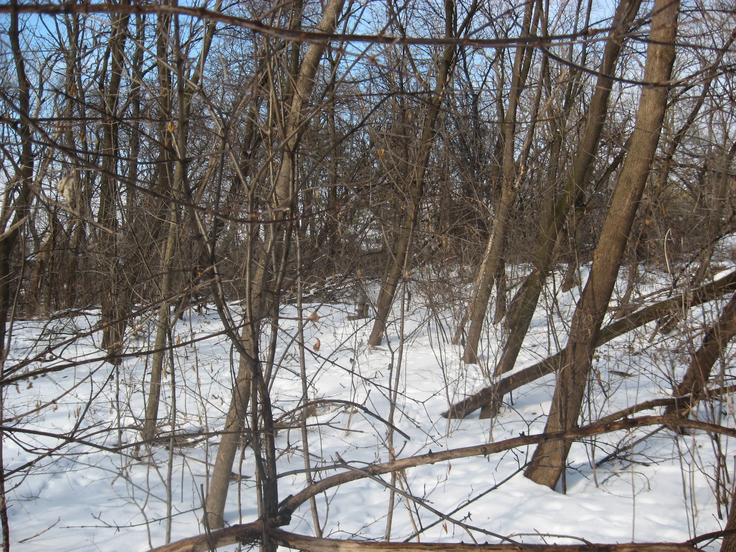 Firestarting in Cold/Wet Weather