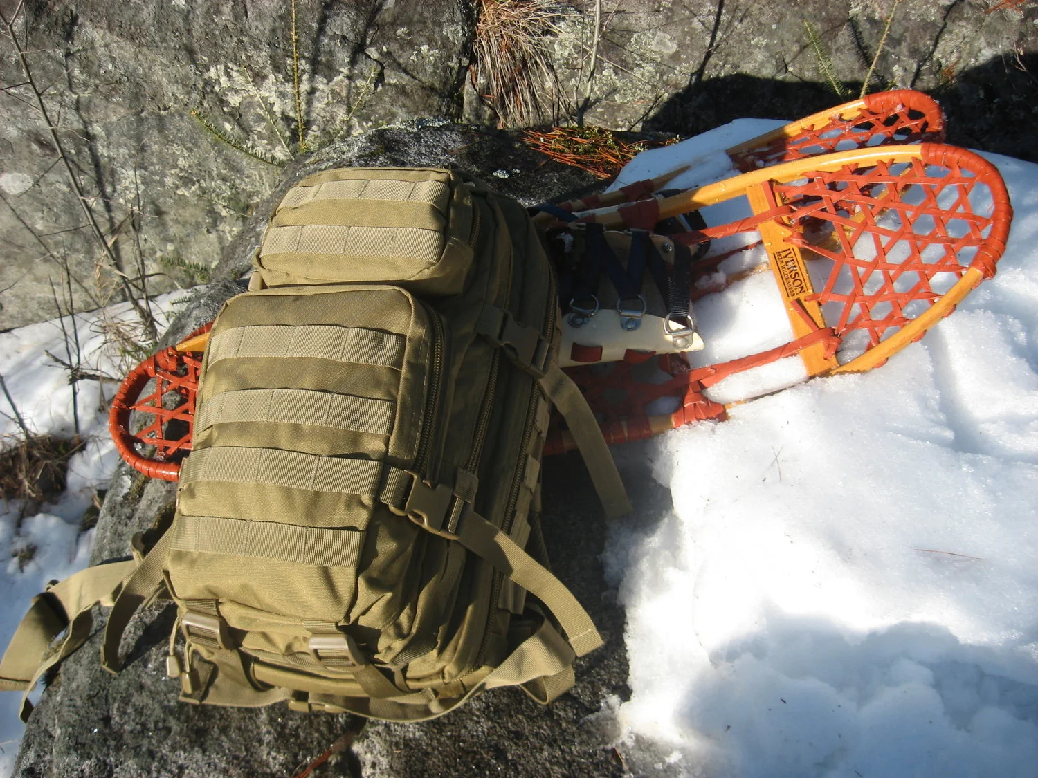 Snowshoe Day Trip in the Northwoods