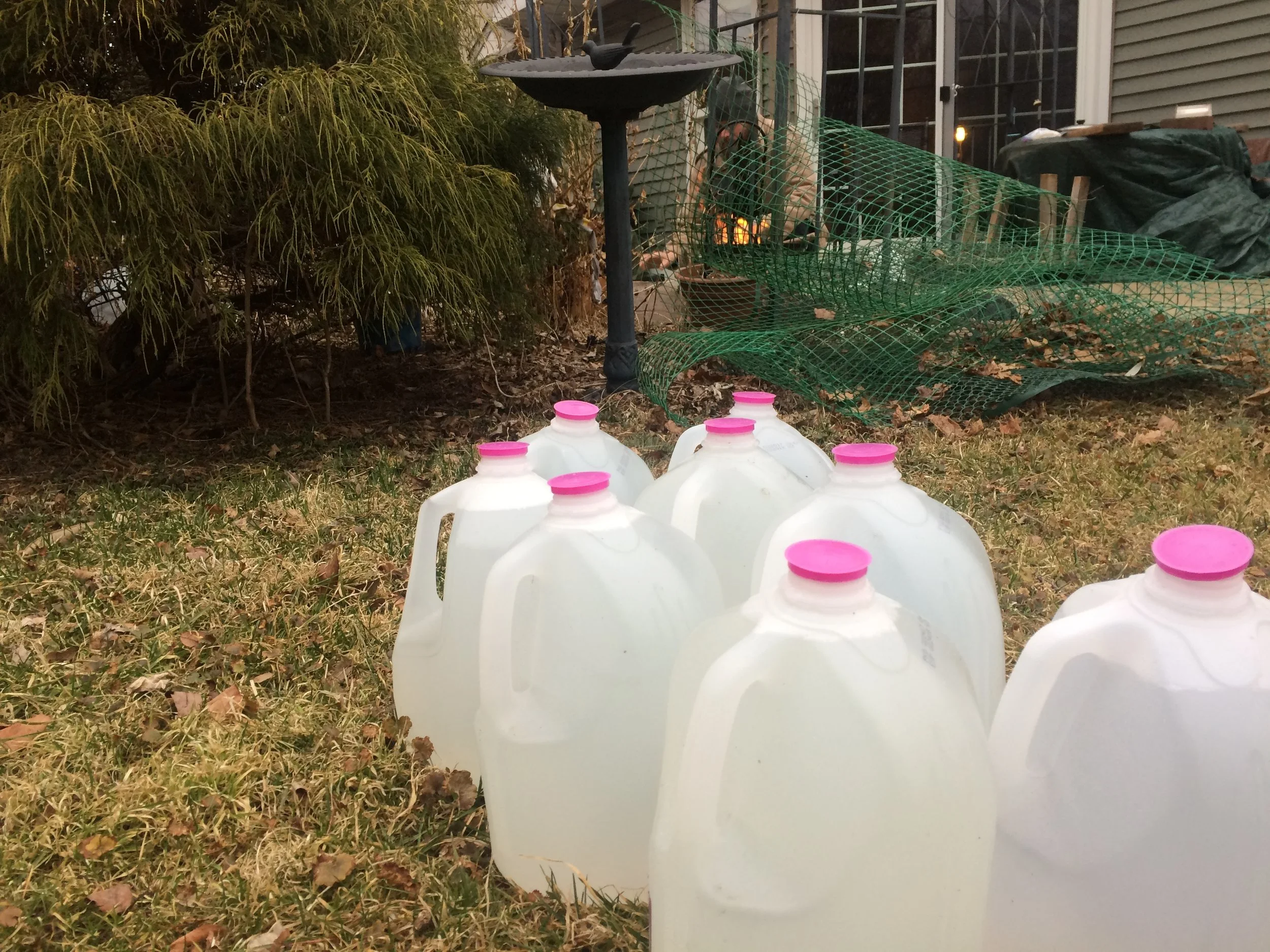 Making Maple Syrup - Part Two