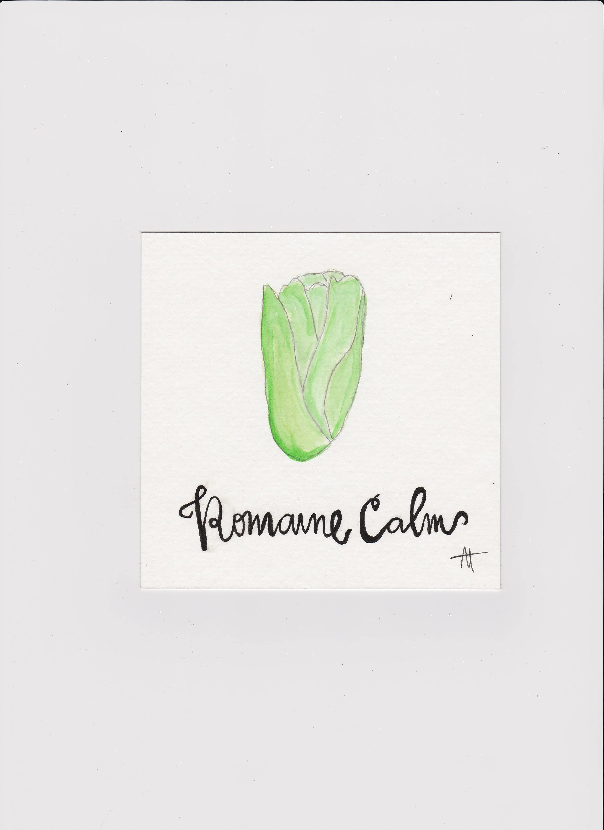 [5x5] Romaine Calm Hand Lettering + Watercolor
