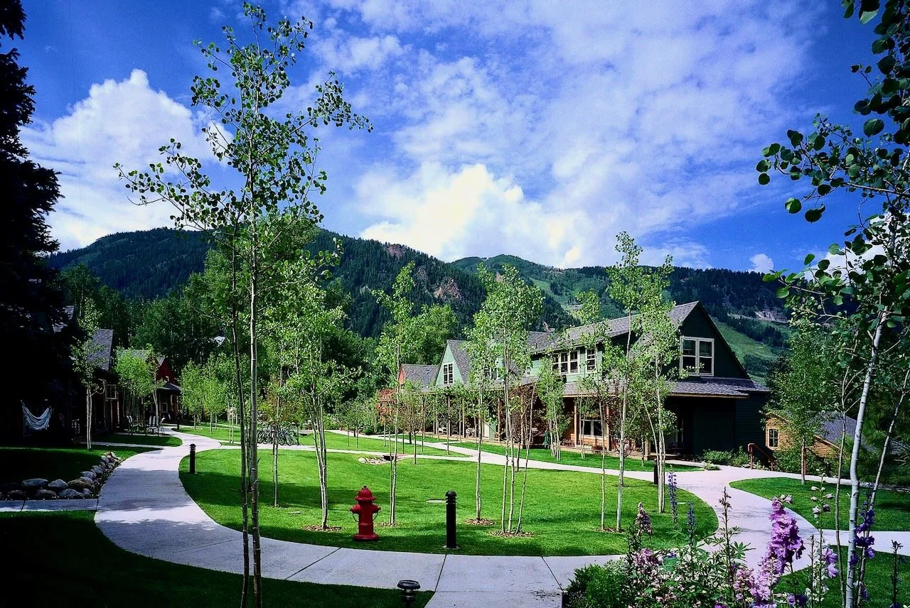 Snyder-court view.jpg ADJUSTED (2).jpeg