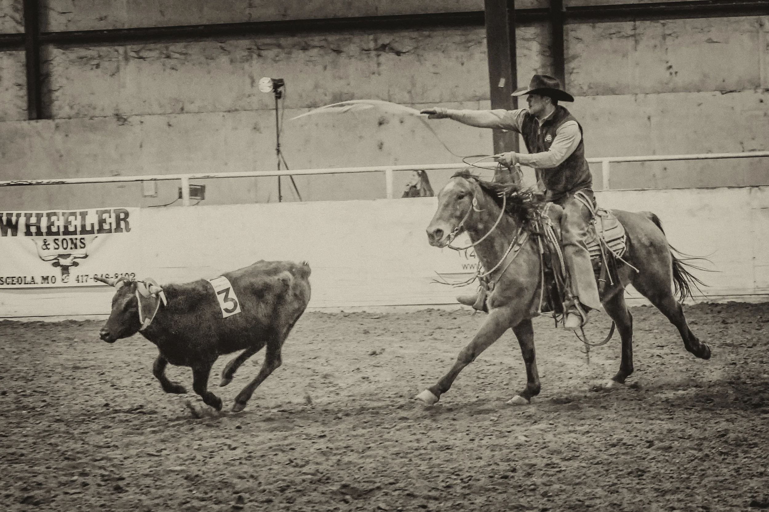 20160306-_I3A5608v1v1-Editv1v1-Edit.jpg
