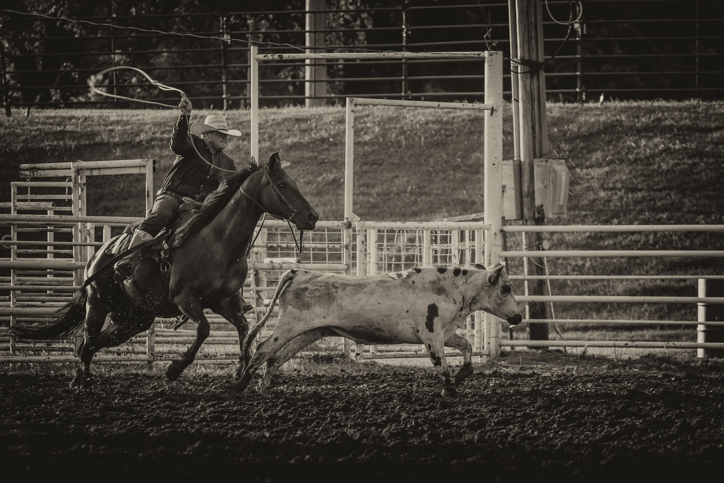 20160803-_G6T0201.jpg
