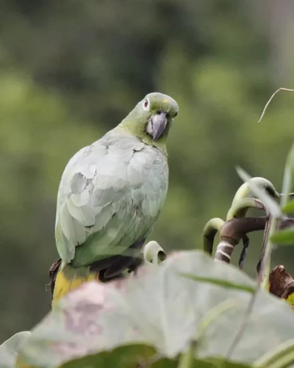 Ecuador6.jpg