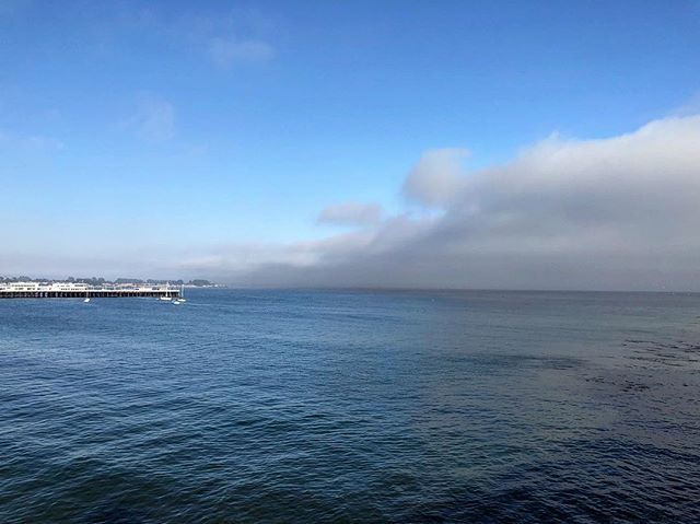 #santacruznow #visitcalifornia #visitsantacruz #santacruz