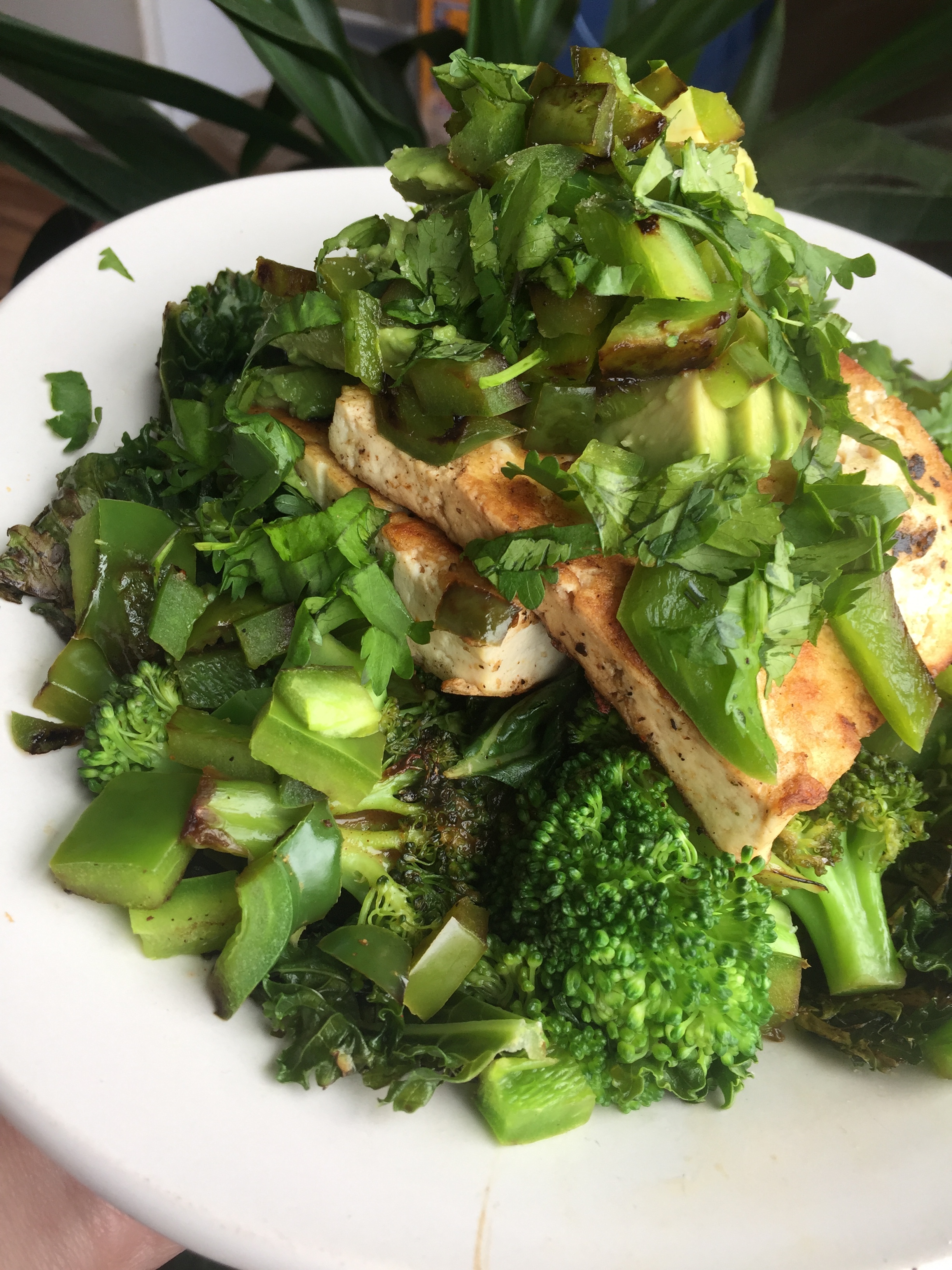 Plant-Based Meals And Recipes For The Green RVer