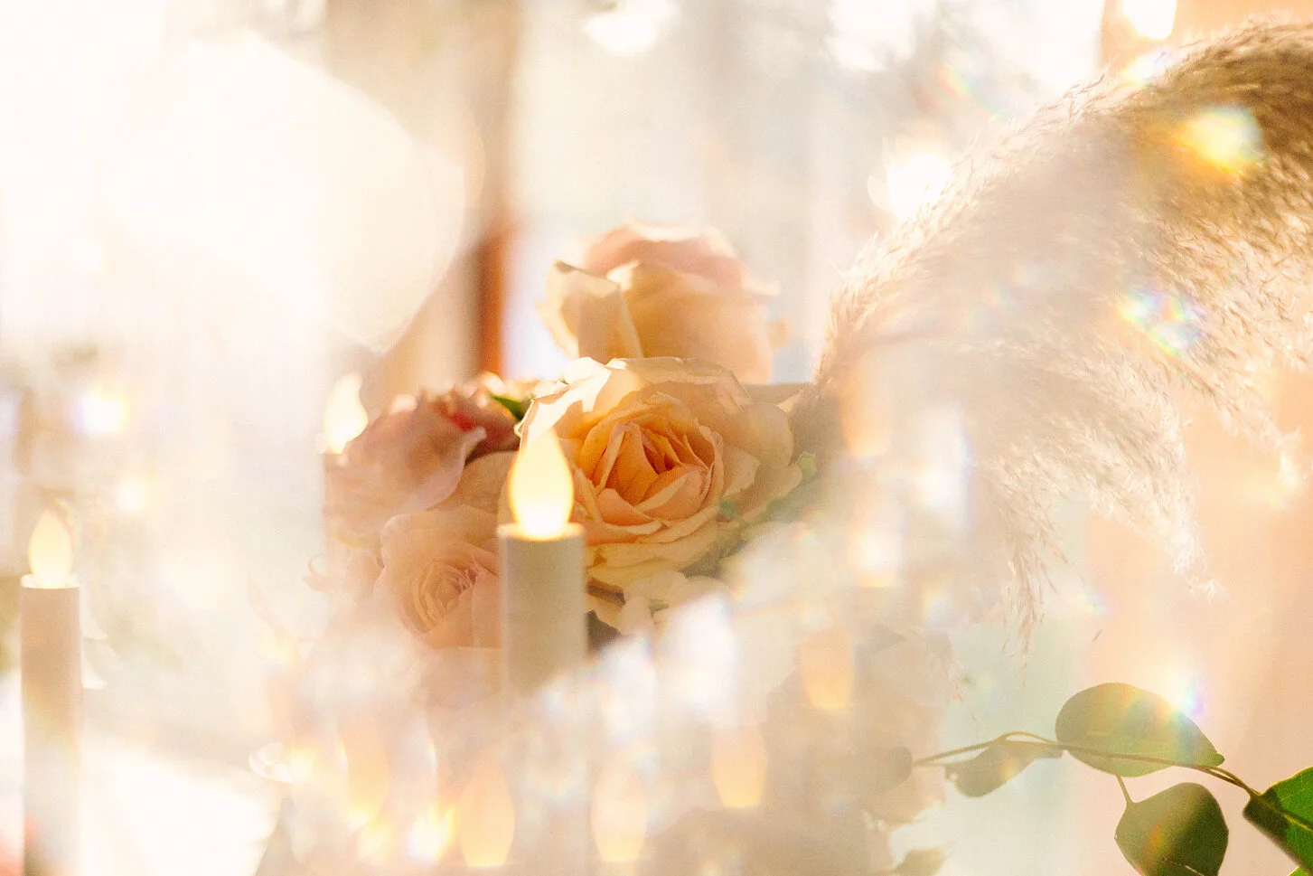 Brisbane Wedding Photographer