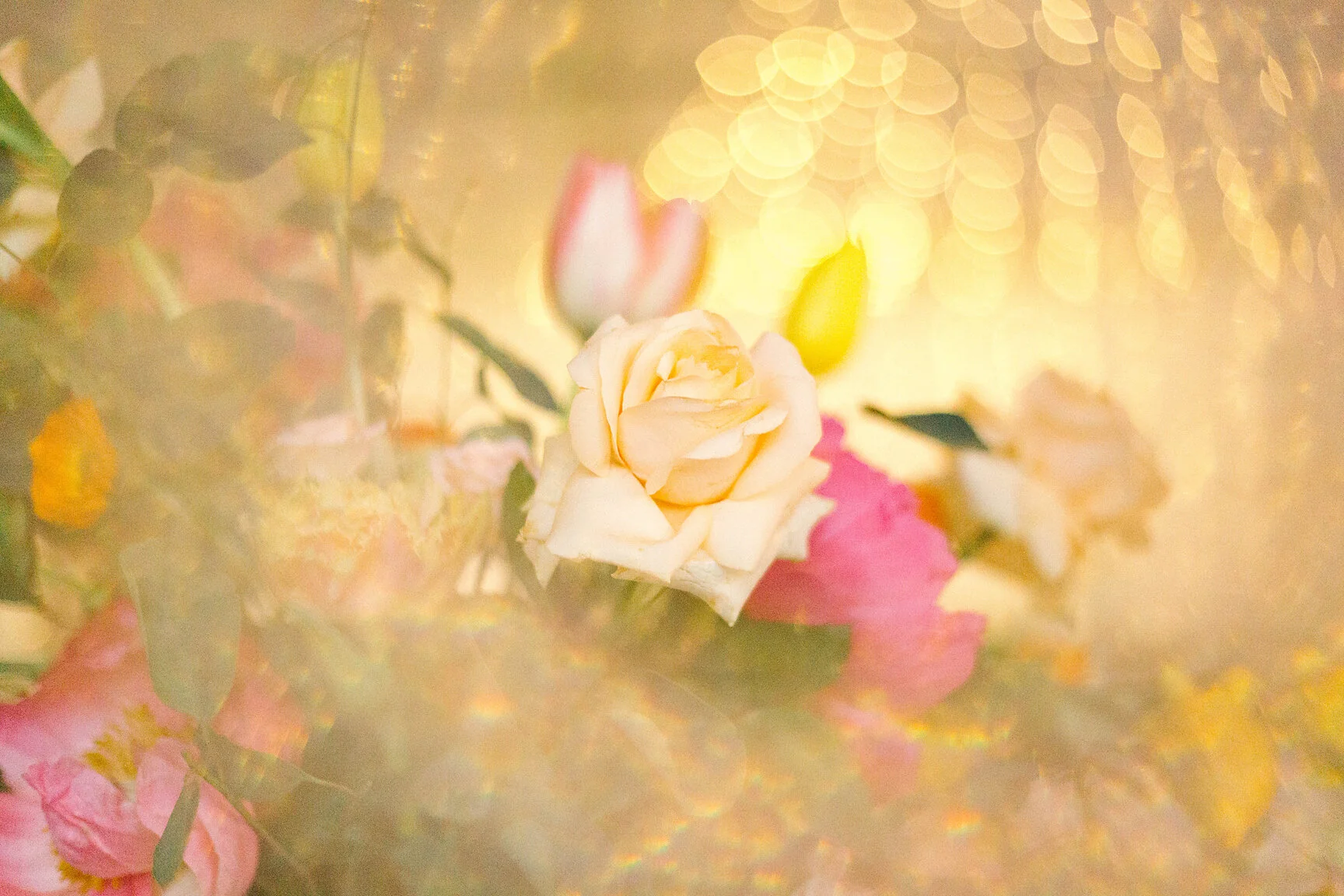 Brisbane Wedding Photographer