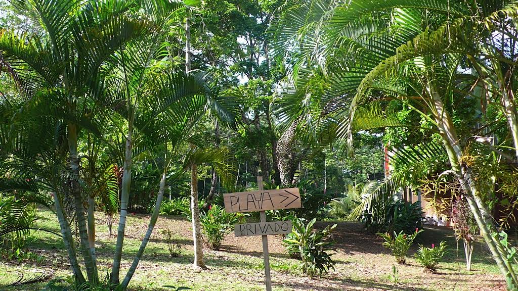 Jesse-Kamm-Panama-1