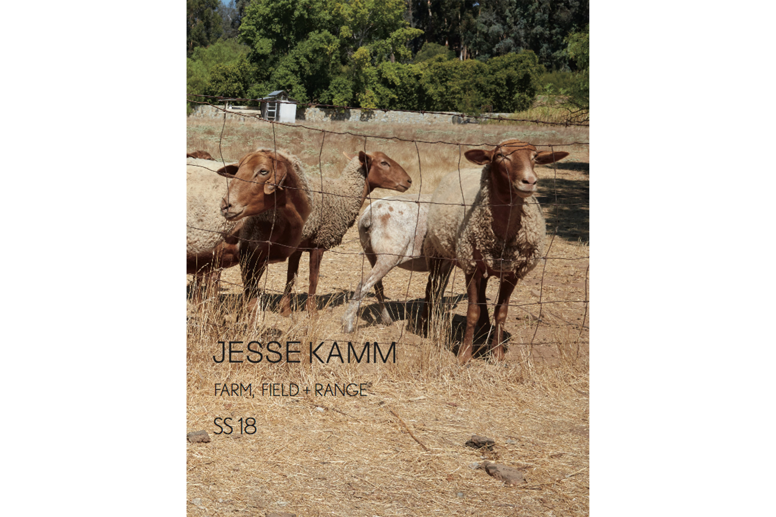 Jesse-Kamm