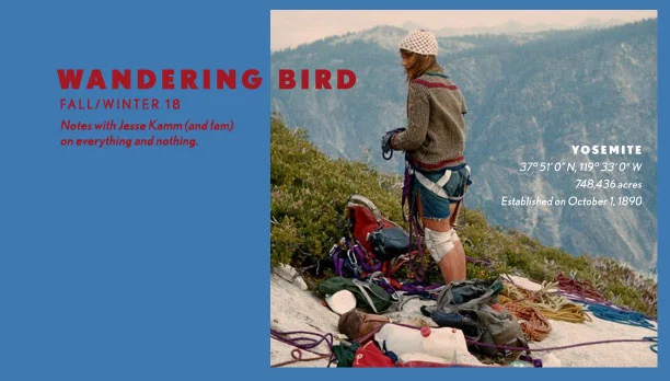 JESSE_KAMM_WANDERING_BIRD_Header.jpg