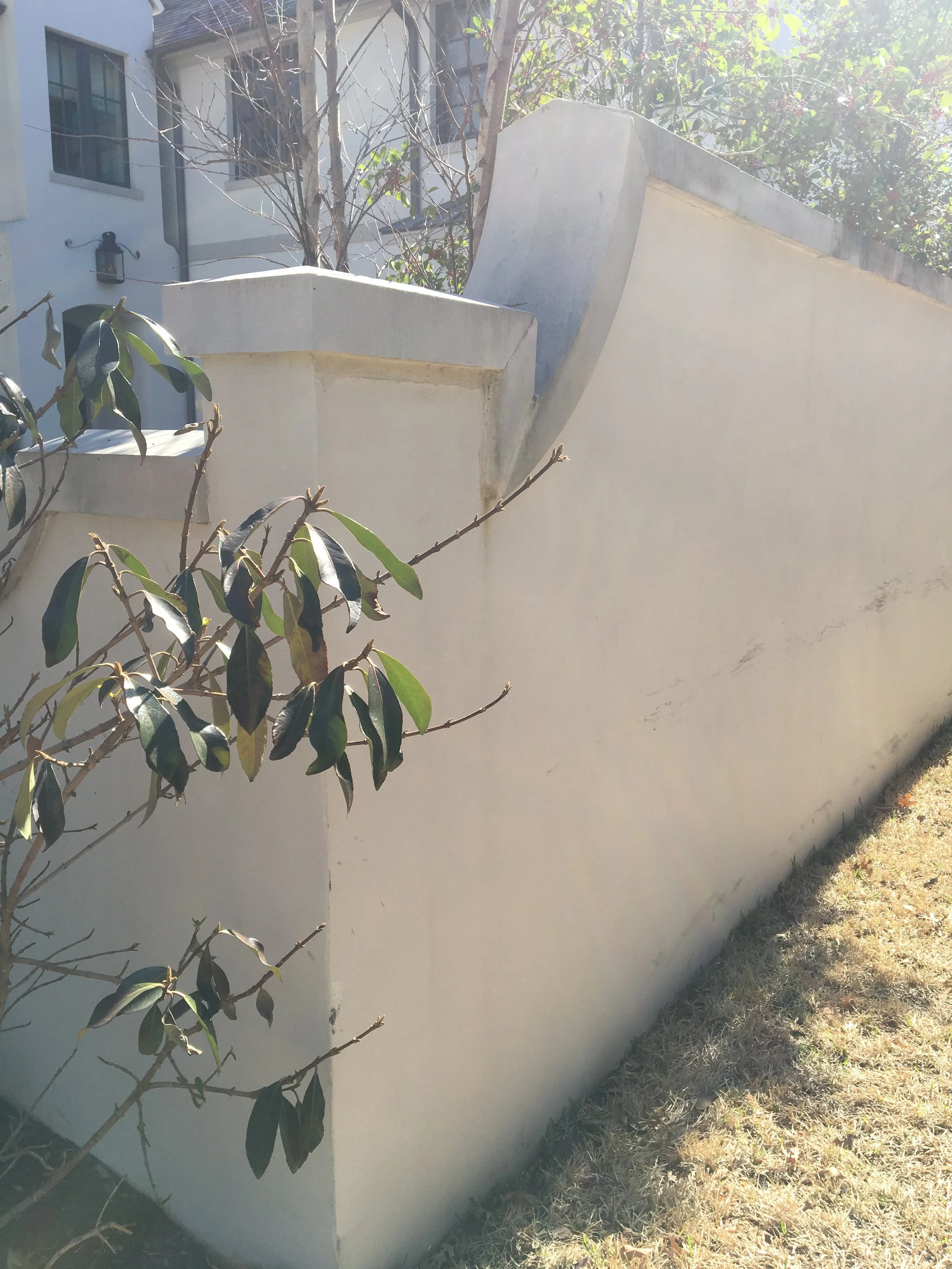 Plastered Privacy Wall