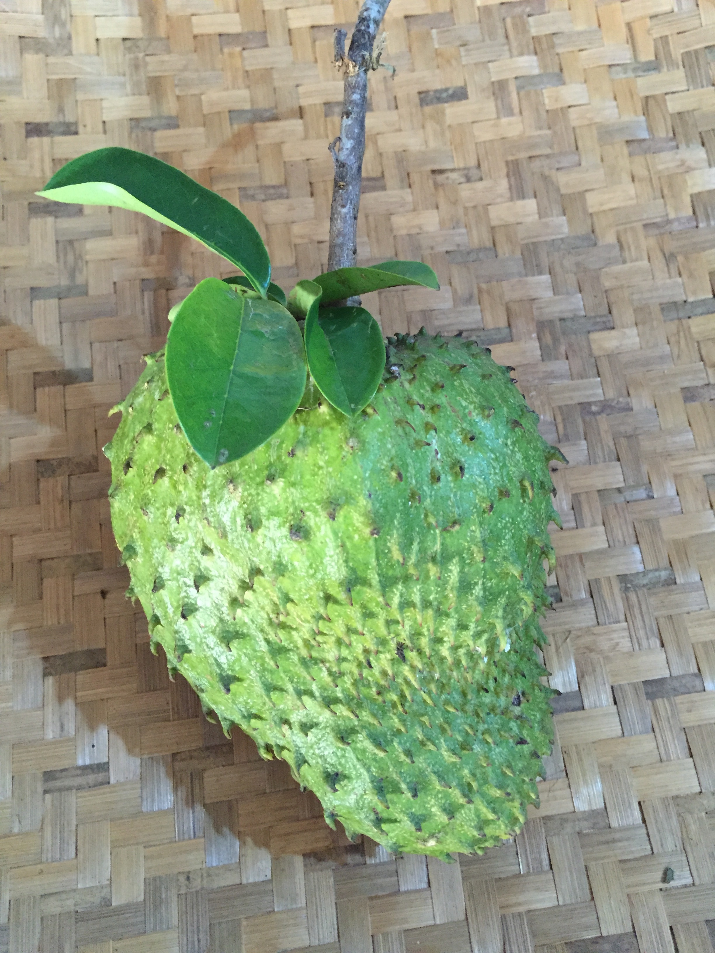 Guyabano fruit.jpg