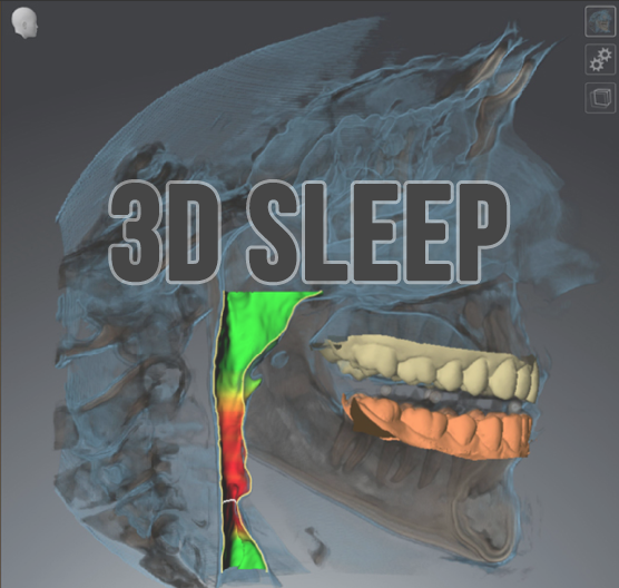 3D SLEEP.png