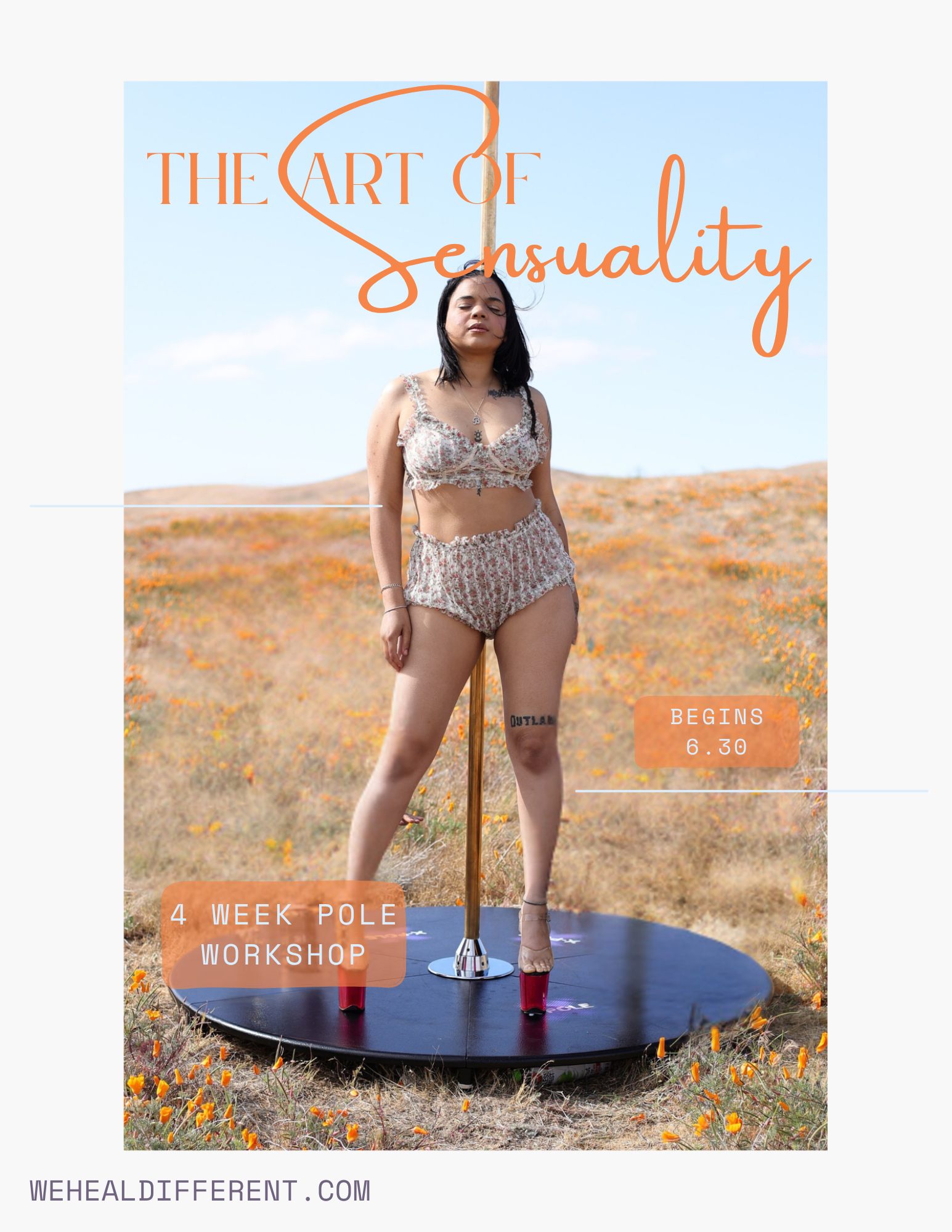 The Art of Sensuality, Pole Workshop