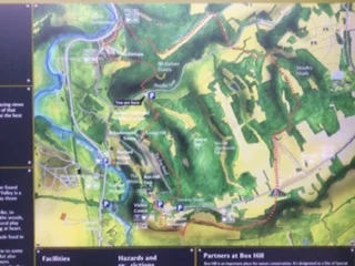 3rd annual Box Hill Ramble