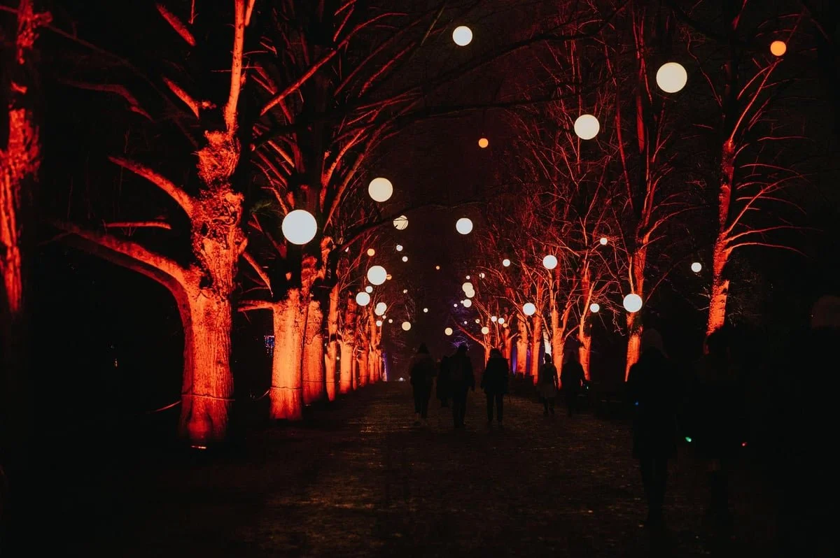 Cornell Club of London Winter Walk