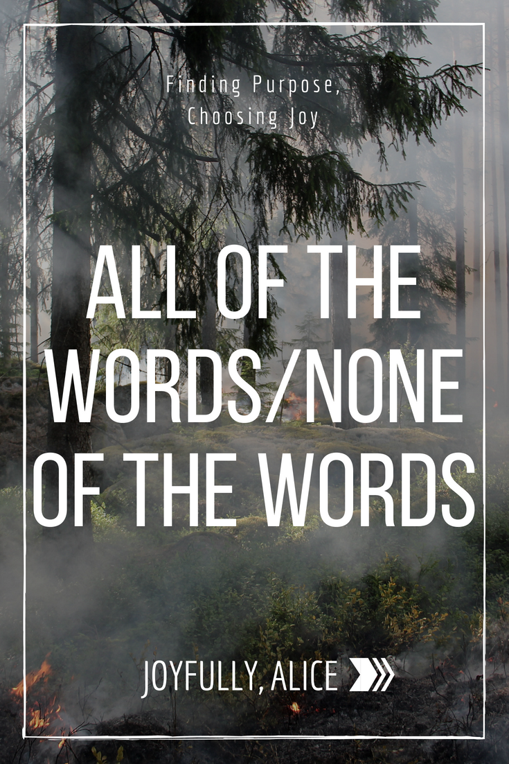 all of the words%2Fnone of the words.png