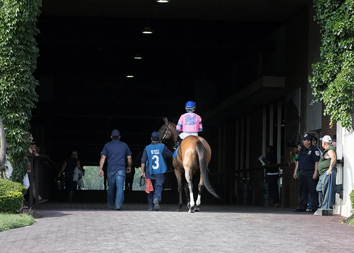 Off to the track!