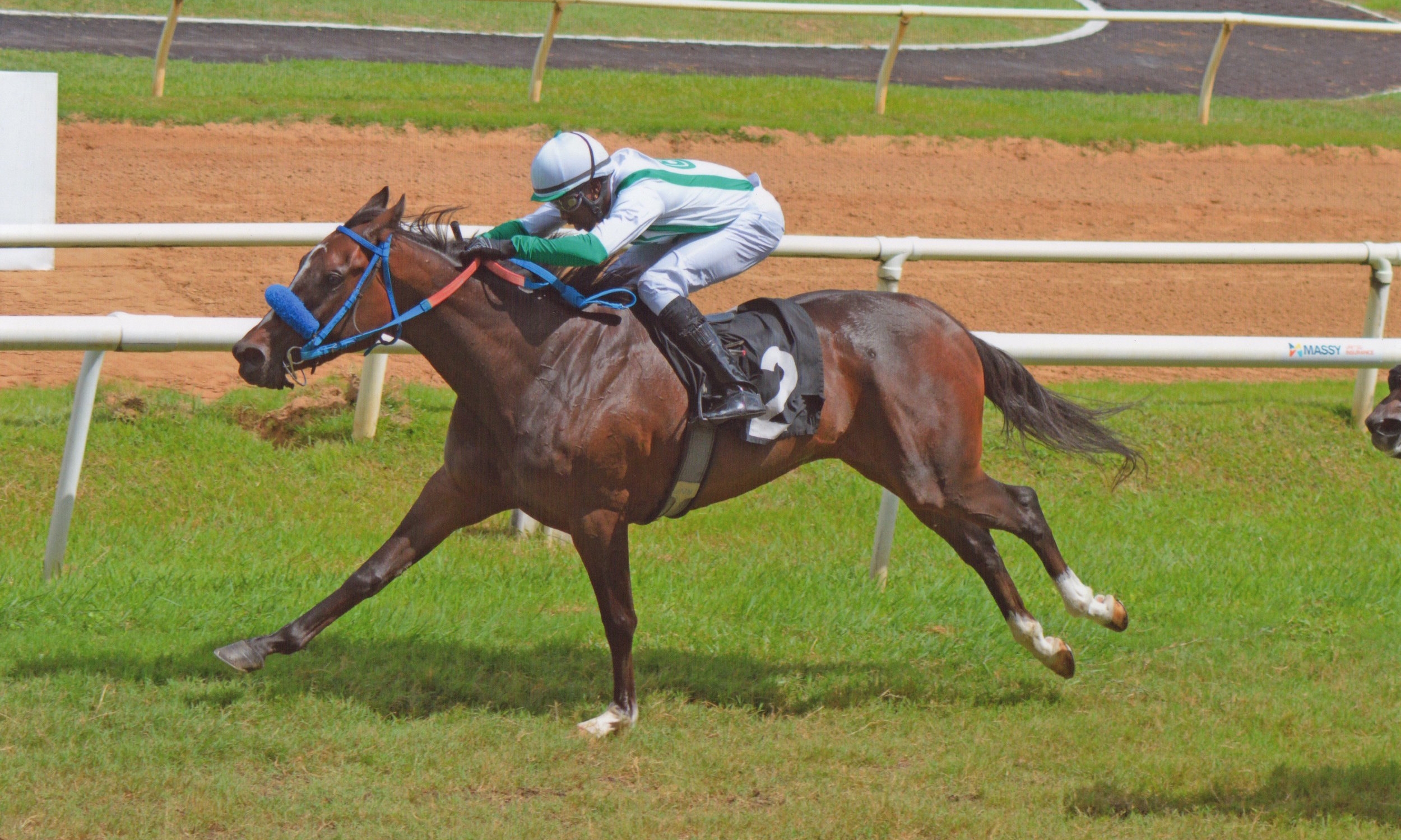 AndaleJuliawinsMassyUnitedInsuranceDerby_aug1_2017.jpeg