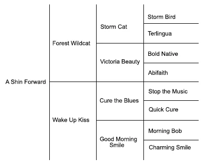 AShinForwardPedigree.jpg