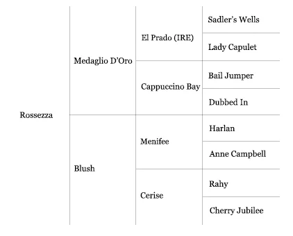 Rossezza Pedigree.jpg