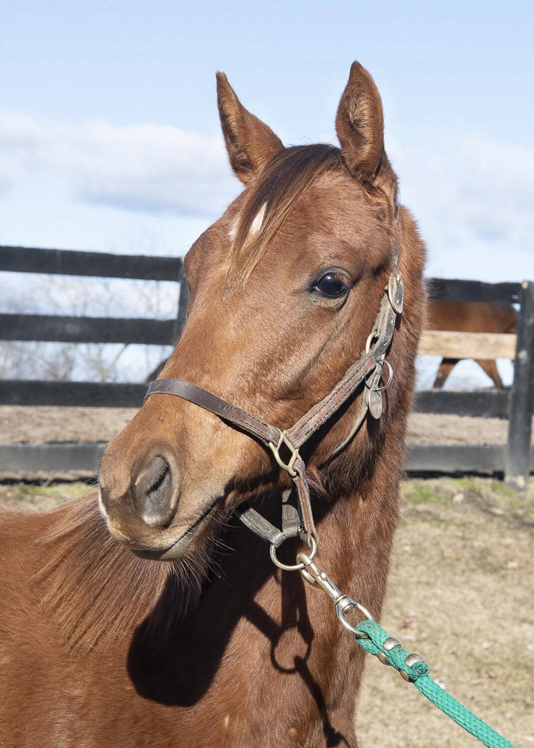 2019 Miney's Awesome