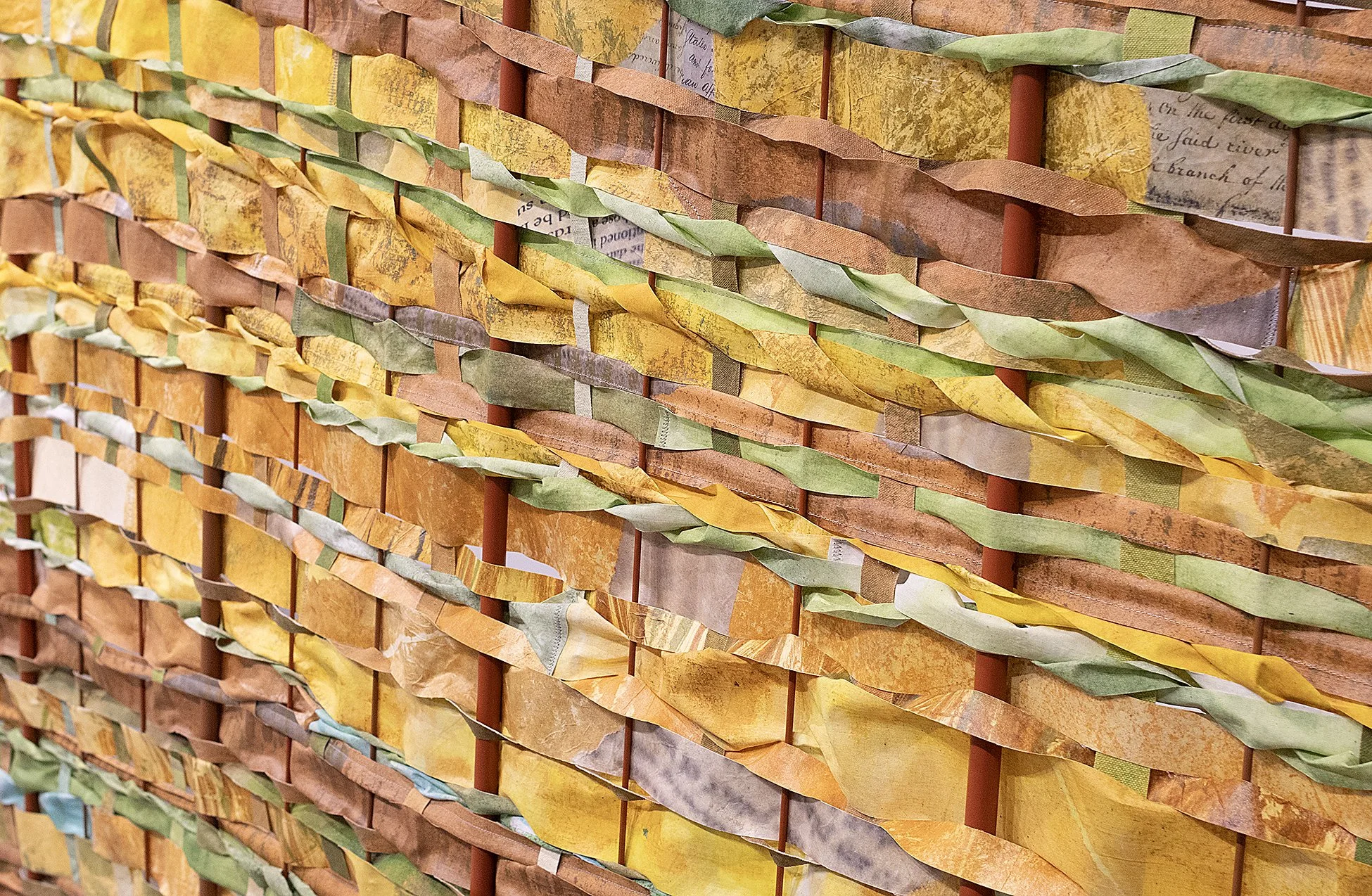 land snake detail.jpg