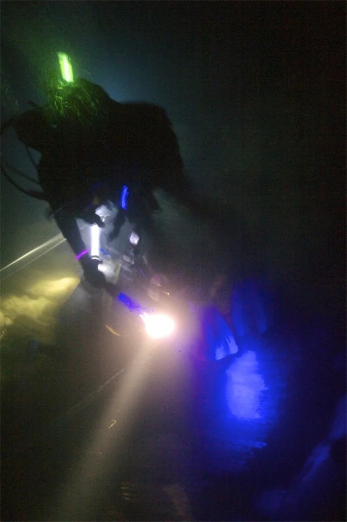 The night diver