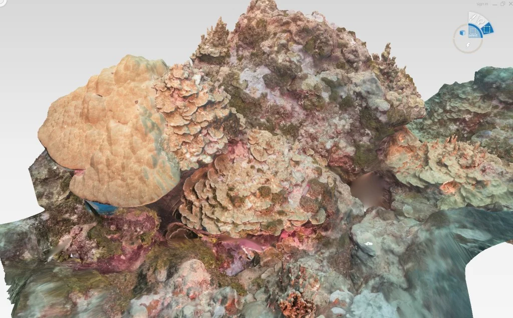 Coral Reef_Guam_The Hydrous