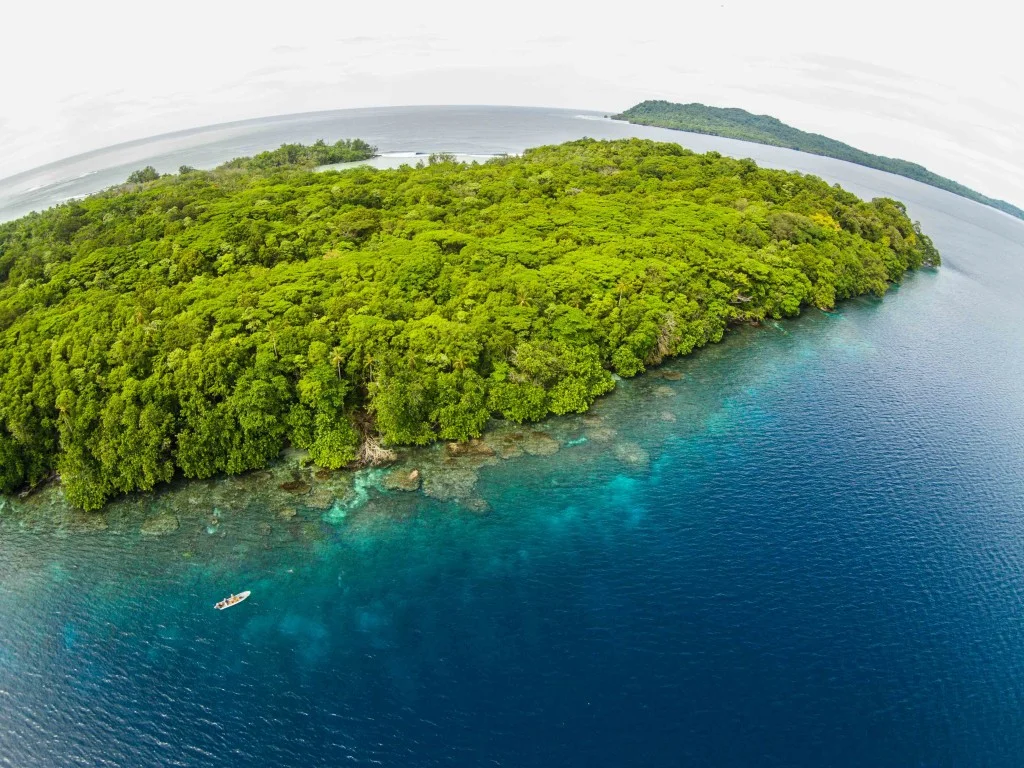 coral garden aerial