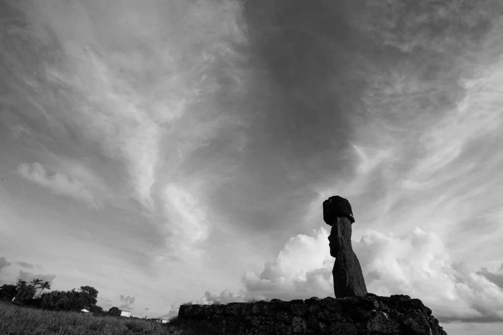 2B8A3141-1024x682.jpg