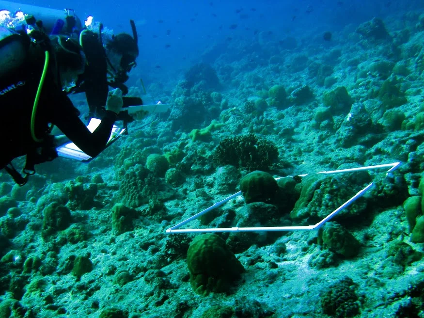 Nora and Erika doing the simple rapid protocol to assess coral mortality following a massive bleaching event earlier this year.