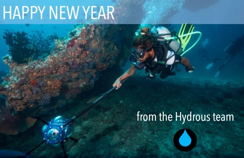 2017 New Year Newsletter 