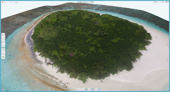 Photogrammetry of the Pineapple Island
