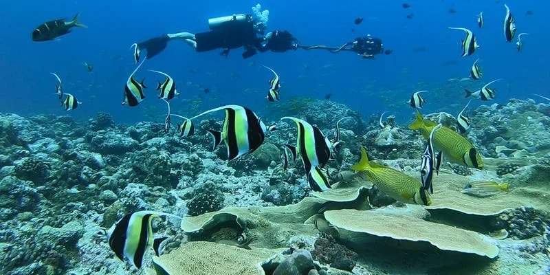 July Updates: Underwater VR, NatGeo, and Hydrous Happy Hour