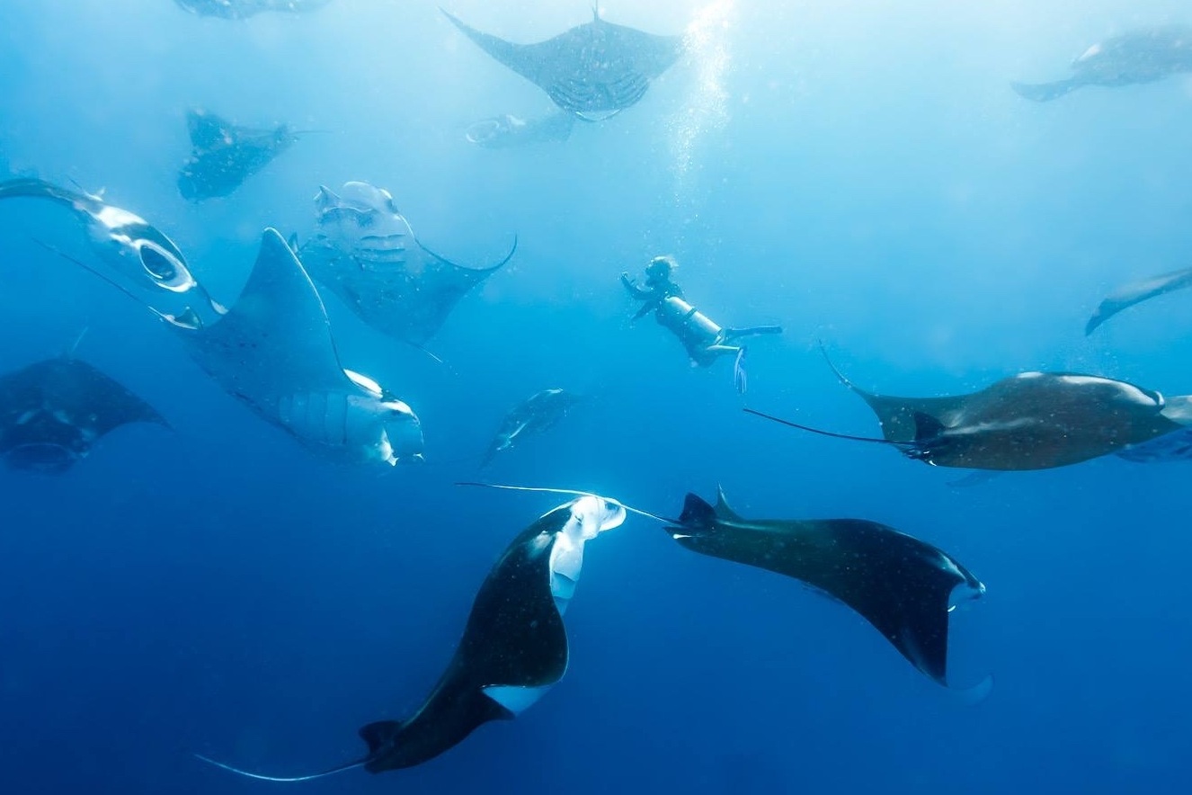 Matt+Geo+and+mantas.jpg