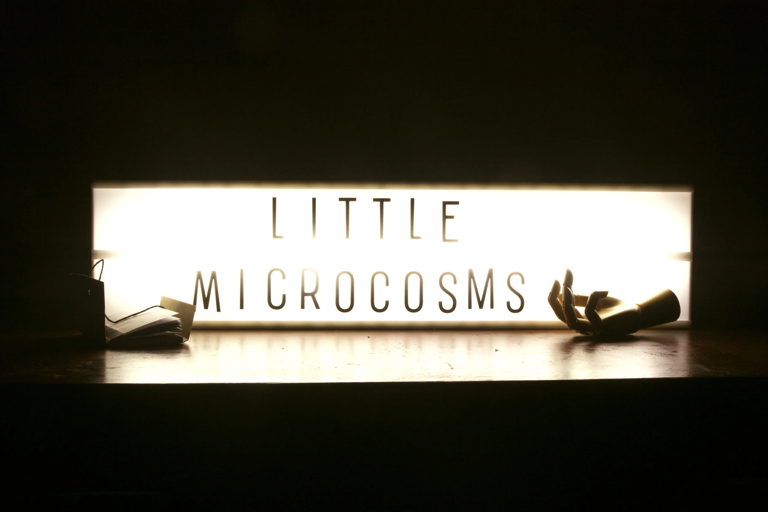 littlemicrocosmswebsiteslide1.jpg