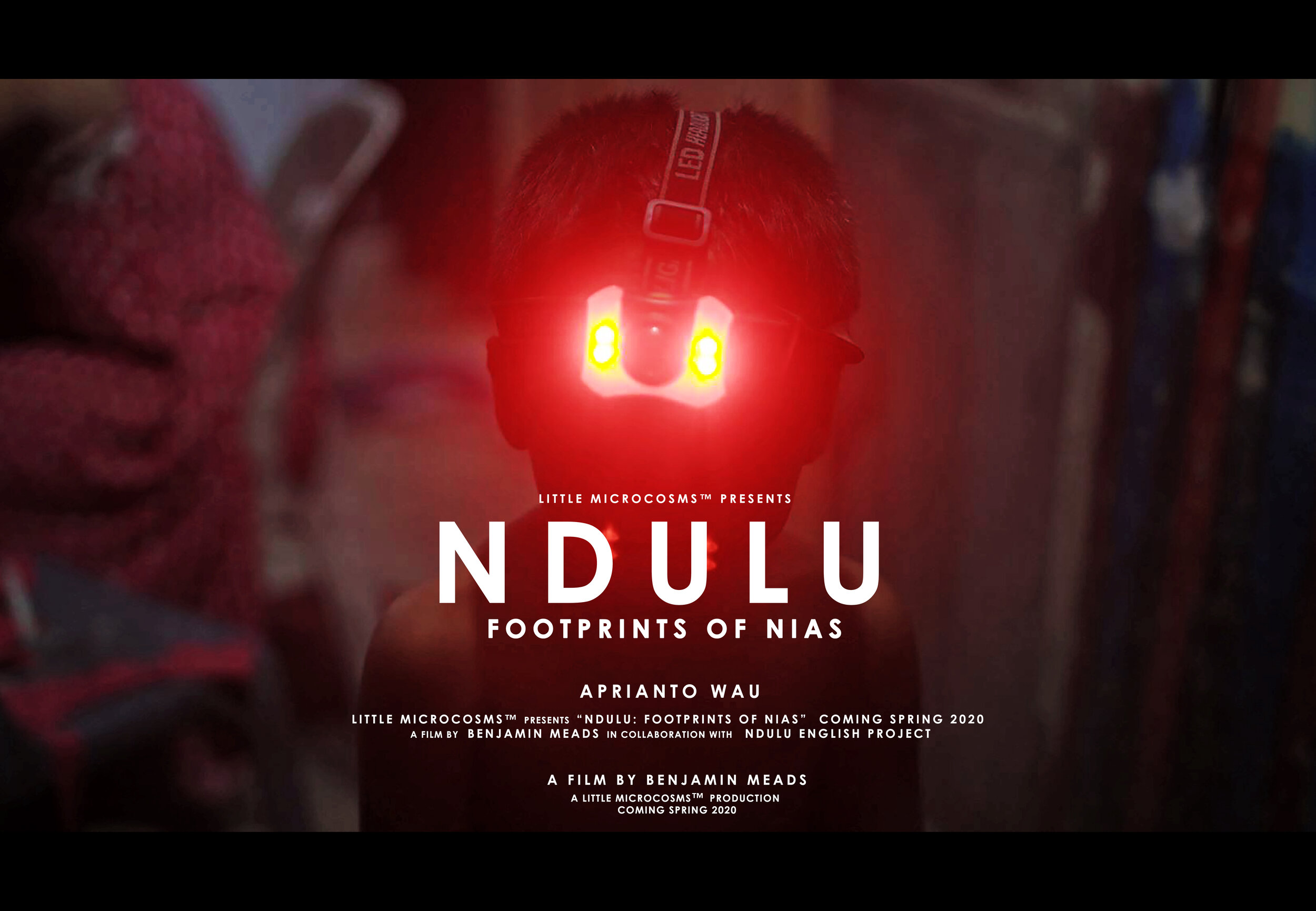 ndulu poster draft_3 WEBSITE COMING SOON7.jpg