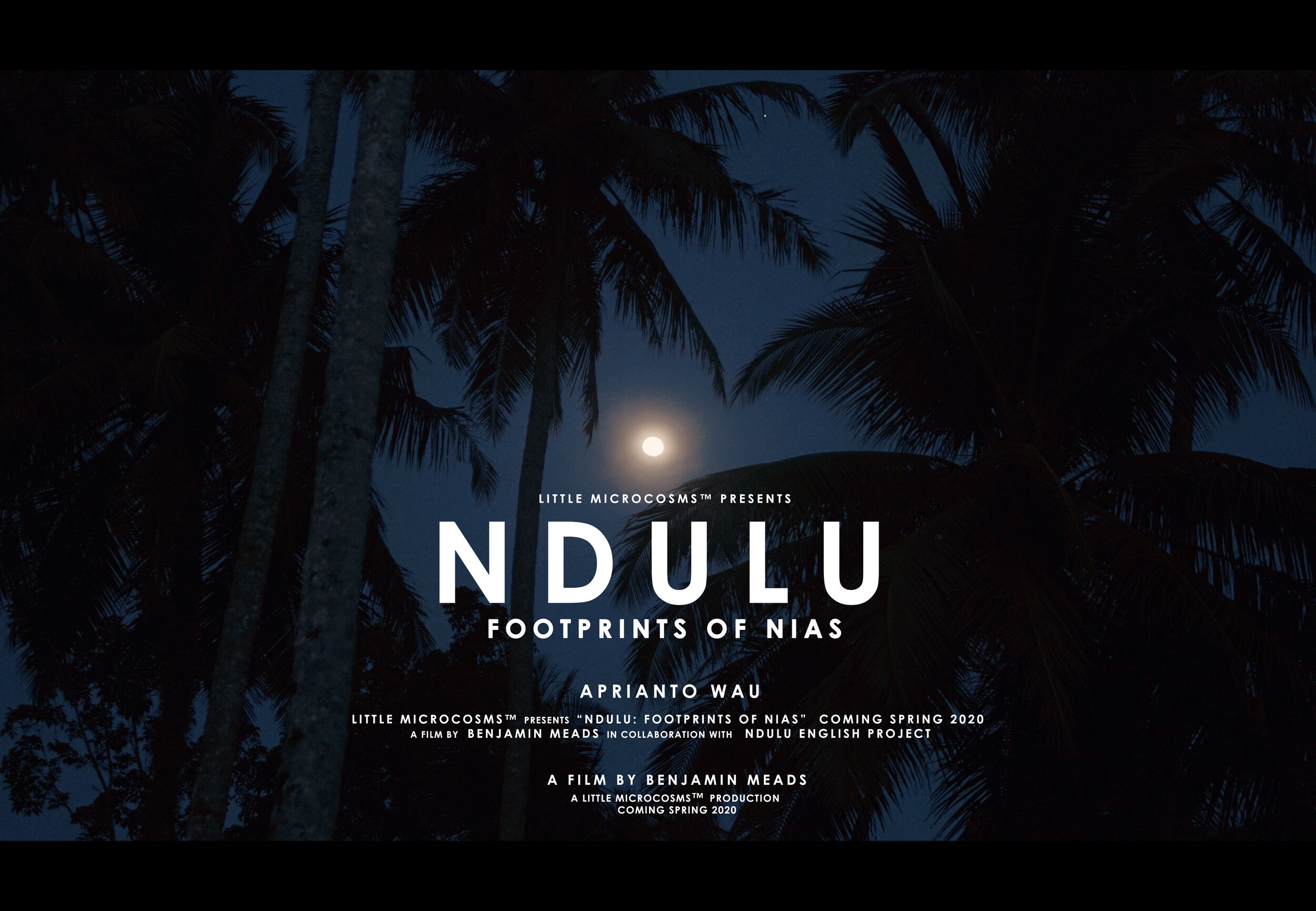 ndulu poster draft_3 WEBSITE COMING SOON9.jpg